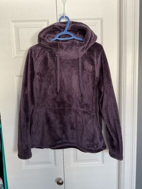 The North Face Osito Hoodie